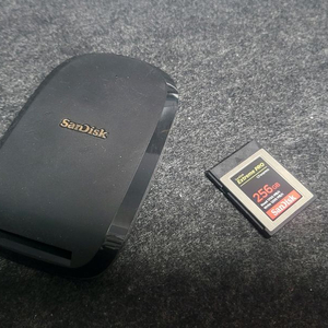 샌디스크 CFexfress type B 256GB