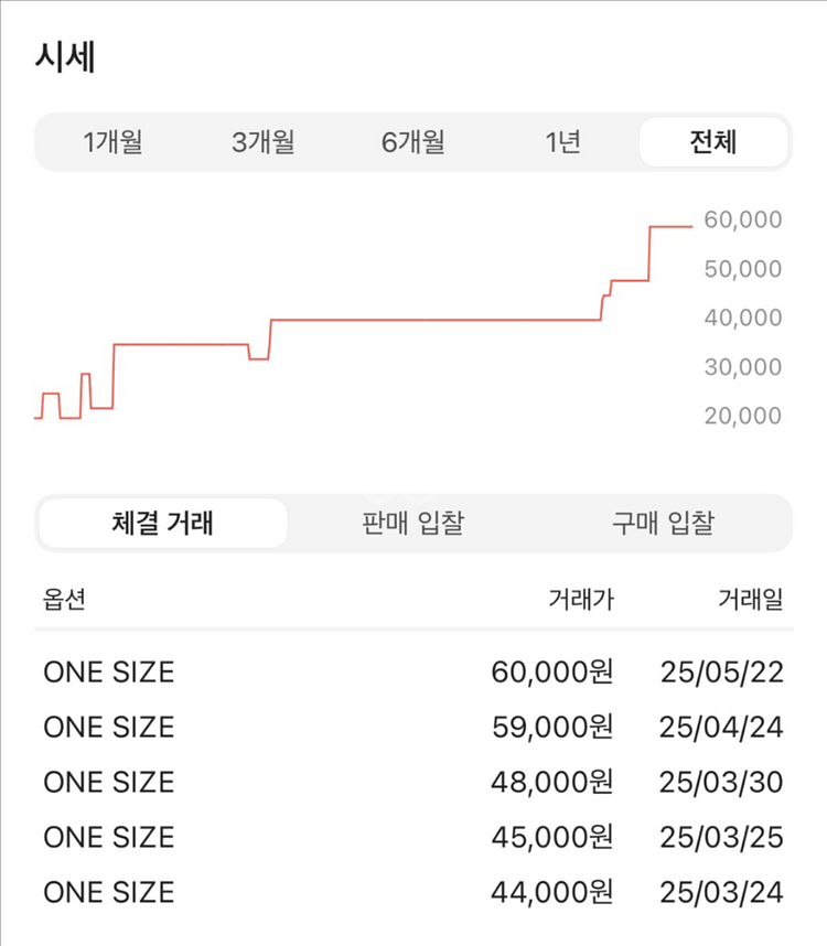 반클리프 앤 아펠 디뮤지엄 네이비 에코백--2