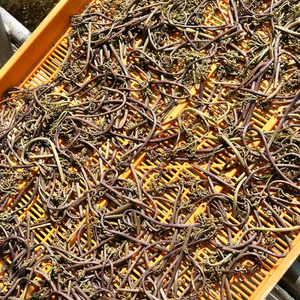 자연산 햇고사리 판매합니다