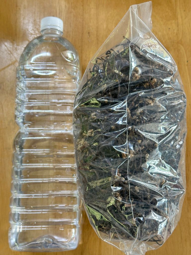 자연산 햇고사리 판매합니다--2