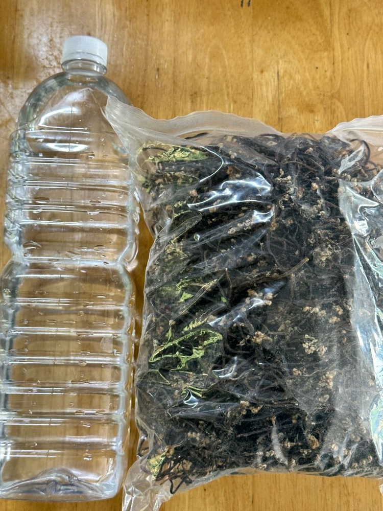 자연산 햇고사리 판매합니다--3