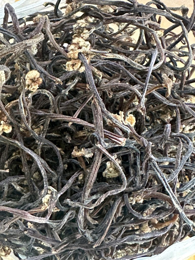 자연산 햇고사리 판매합니다--6