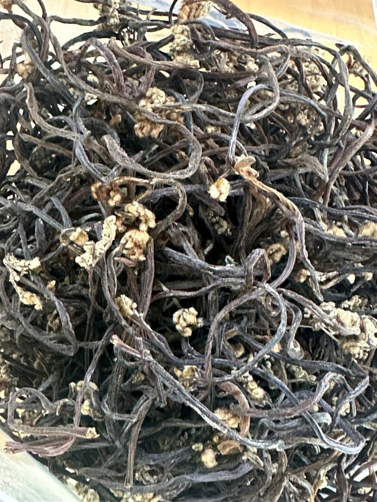 자연산 햇고사리 판매합니다--5