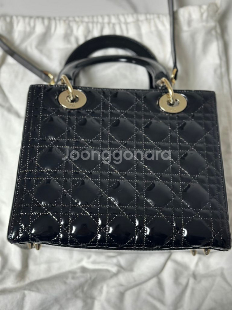 디올레이디 페이던트--8