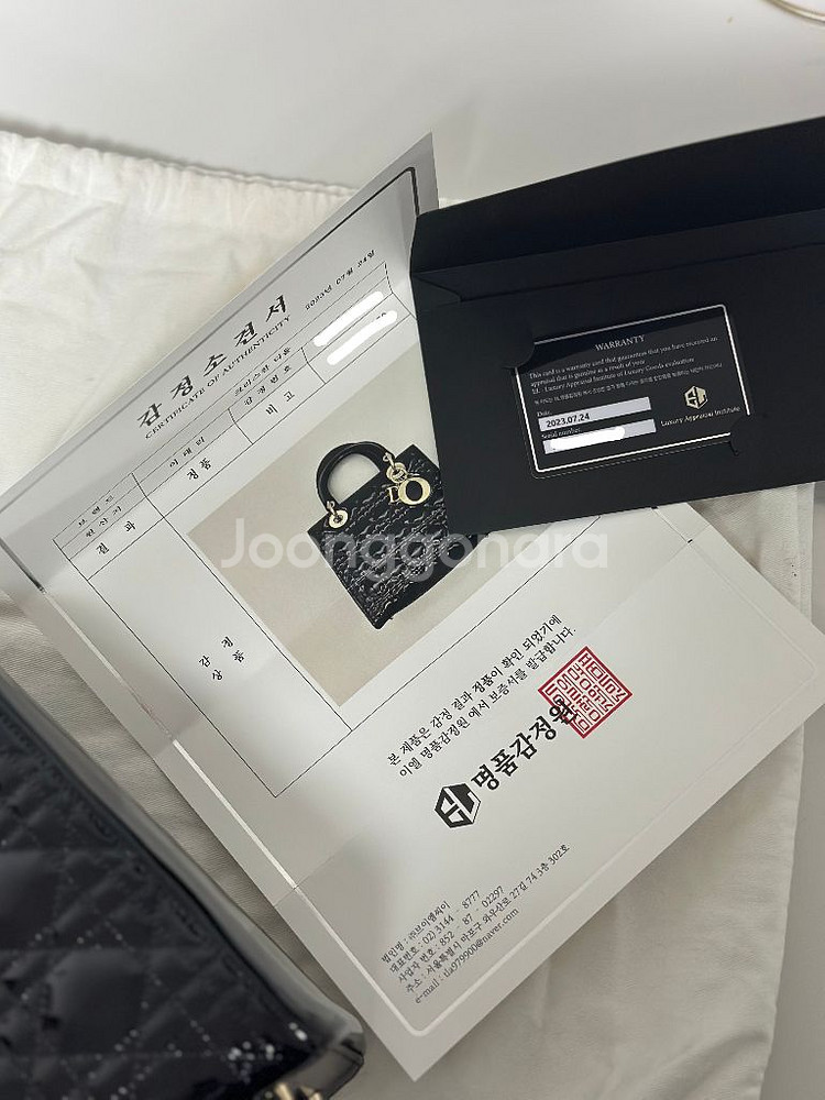 디올레이디 페이던트--9