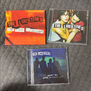 The libertines 리버틴스 리버틴즈 앨범