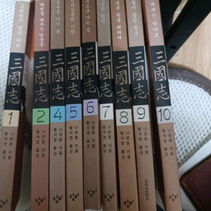 황석영 삼국지...9권