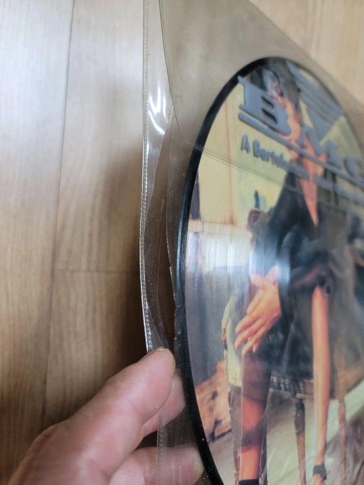 휘트니 휴스턴 픽쳐 디스크 LP 판매. 이미지