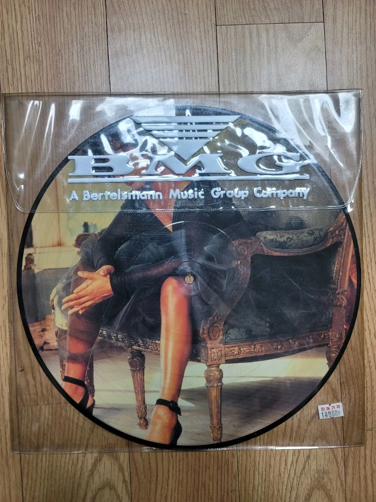 휘트니 휴스턴 픽쳐 디스크 LP 판매. 이미지