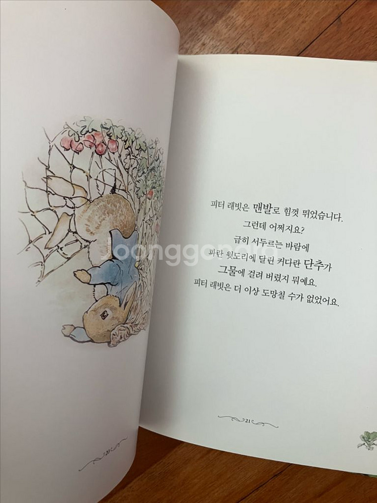 프뢰벨 피터래빗과 친구들--2