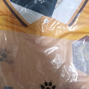 광주fc 유니폼 판매