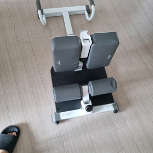 숀리 스쿼트