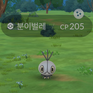 삽니다)포켓몬고 이로치 분이벌레 구매합니다