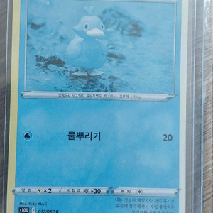 포켓몬카드에러판