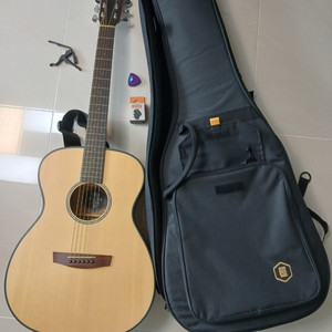 HEX Instruments HIVE F100 M 기타