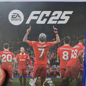 PS5 FC25