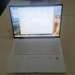 LG그램 노트북 17Z90N, 17인치, i5 10세대