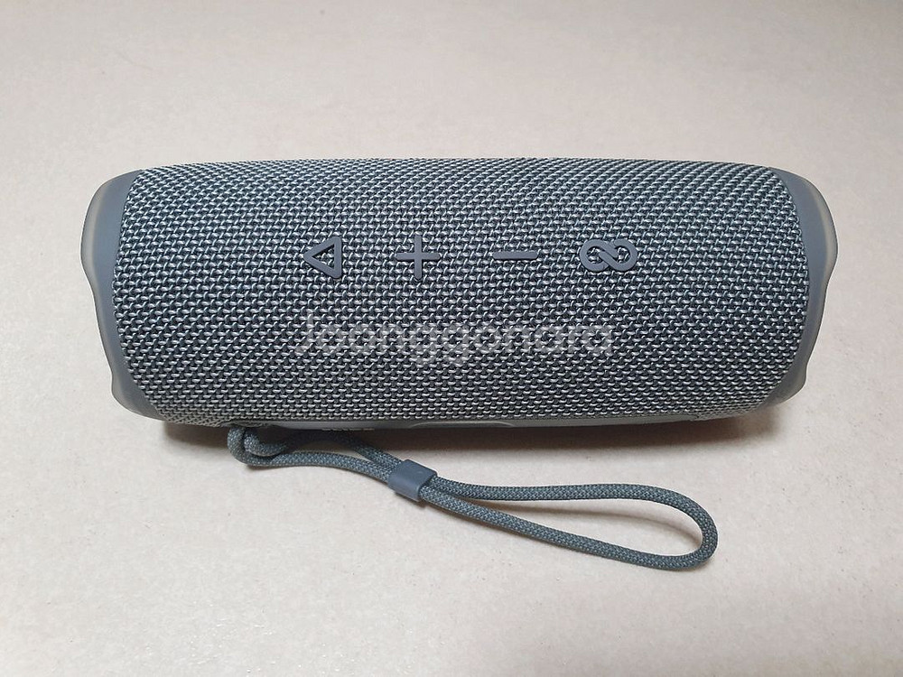 JBL Flip6--4