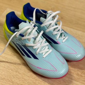 F50 리그 99캡슐 FG 240