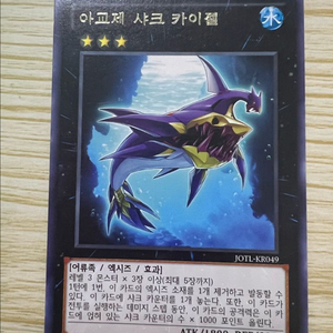 [유희왕 카드] 아교제 샤크 카이젤