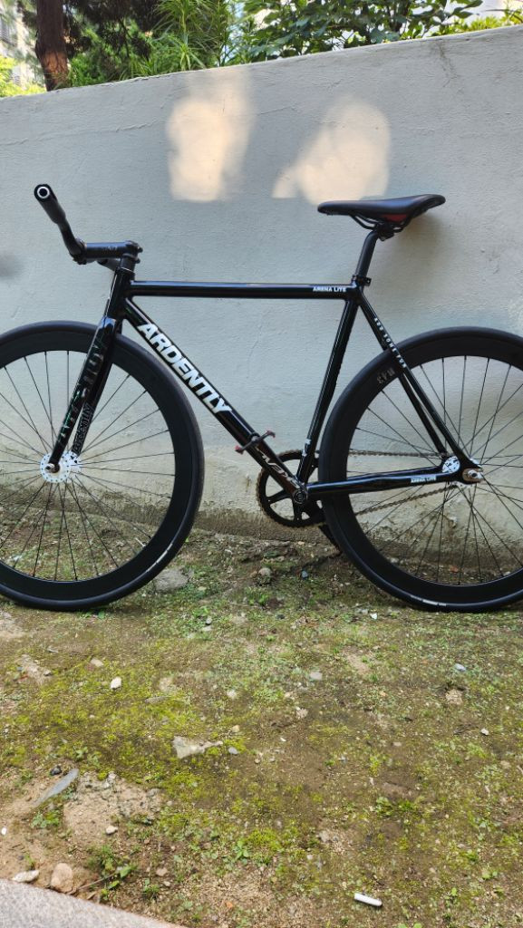 아르덴틀리 아레나 라이트 픽시 판매 이미지