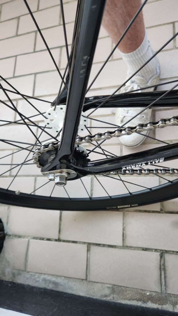 아르덴틀리 아레나 라이트 픽시 판매 이미지