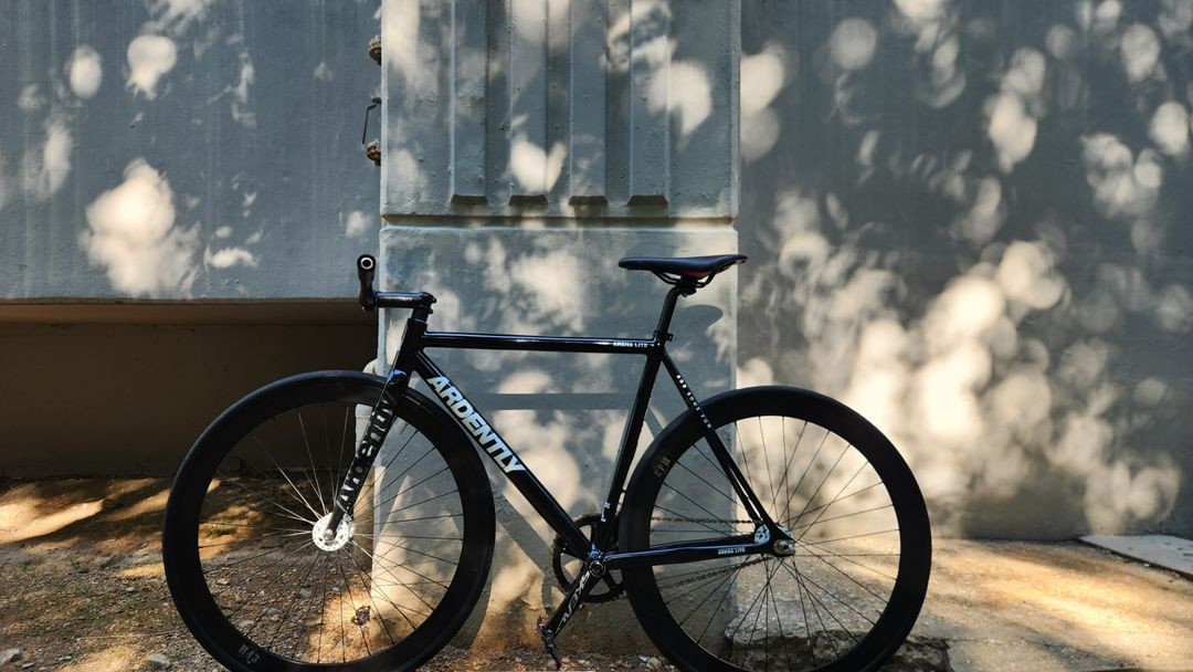 아르덴틀리 아레나 라이트 픽시 판매 이미지