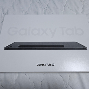 새상품급) 갤럭시탭 S9 256GB 256