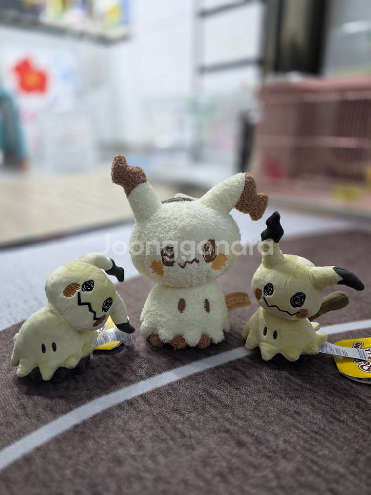 (새상품) 포켓피스 따라큐+따라큐 fit 2종 외--0