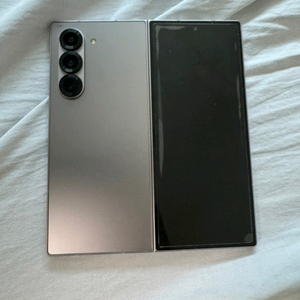 폴드6 256