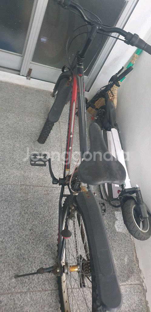 자전거 팝니다--0