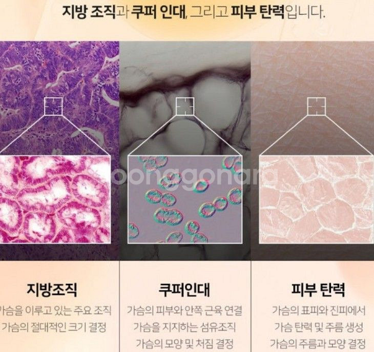 포코엘 가슴 크림--3