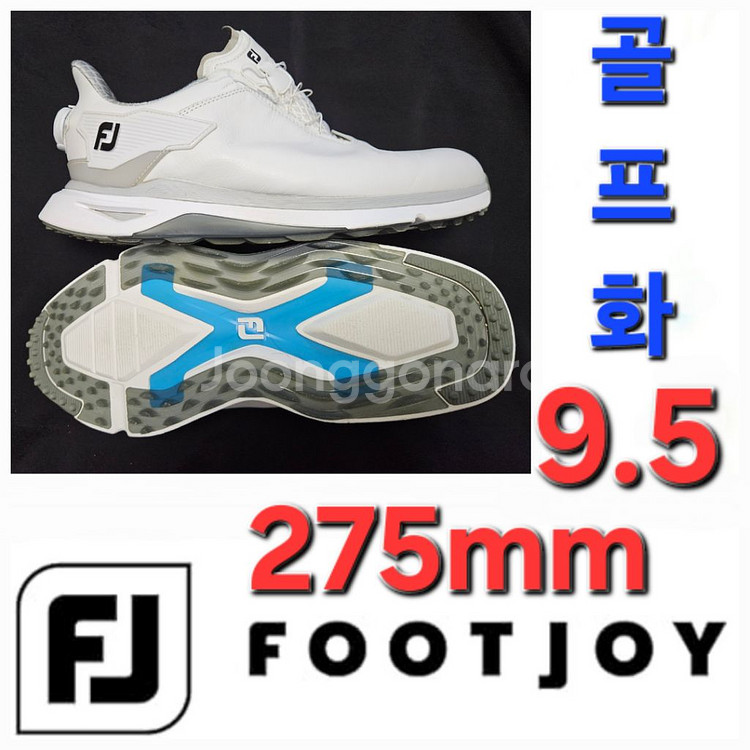 남성 풋조이 골프화 56915 사이즈:9.5 275m--0
