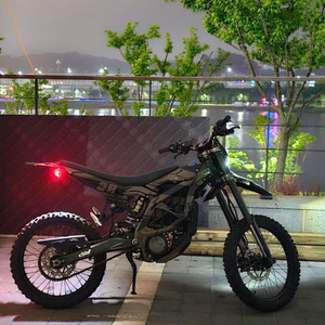 써론 울트라비 급처