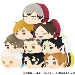 하이큐 모찌모찌 마스코트 5탄 누이 ( 미개봉 ) 이미지