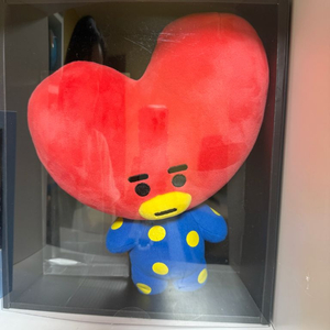 인형 (방탄소년단BT21, 케어베어, 산리오 등)
