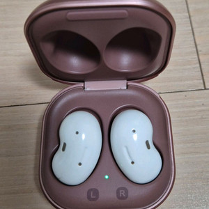 버즈라이브