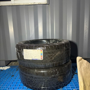 dws06+ 225 40 19
