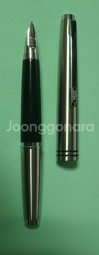 파이롯트 보렉스(VOLEX) 만년필 F닙--2