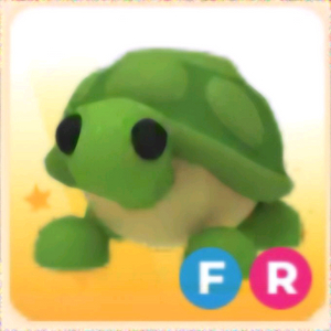 입양하세요 FR 거북