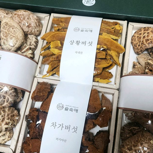 숲속애 버섯 세트