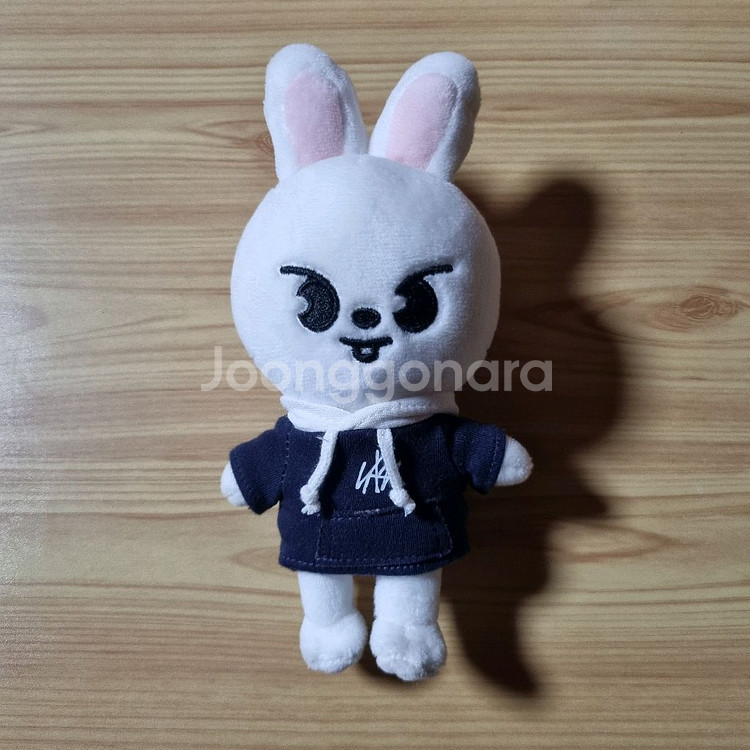 스트레이키즈 스키주 리빗 20cm--0