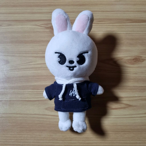 스트레이키즈 스키주 리빗 20cm