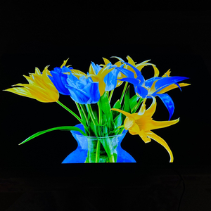 LG OLED 42C3 (쿠팡안심케어가입상품)