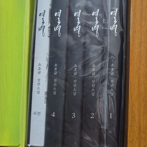 소조금님 열병 소장본, BL소설