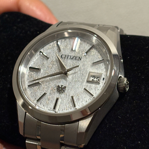 더시티즌 AQ4100-65W