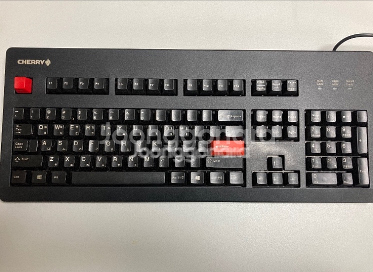 체리 스탠다드 Mx-3000 g80-3497 청축--0