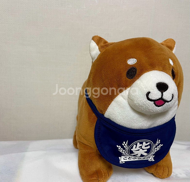 시바이누 강아지 인형--0