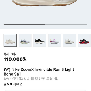 나이키 인빈서블 런3 240