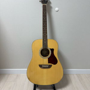 오렌지우드 T100 NS
